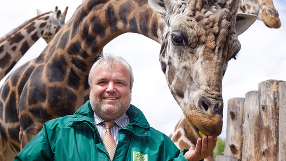 Dr. Jörg Junhold und Giraffenbulle Max