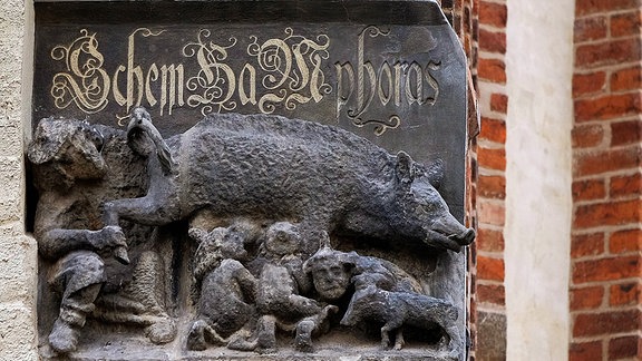 Mittelalterliche Judensau, ein Schmäh- und Spottbild an der Stadtkirche St. Marien in Wittenberg