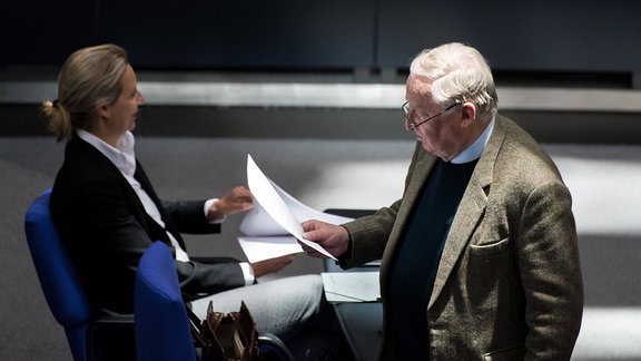 Rechtspopulisten im Bundestag