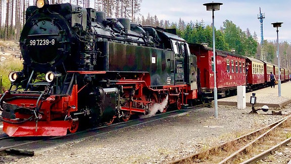 Die Brockenbahn am Bahnhof