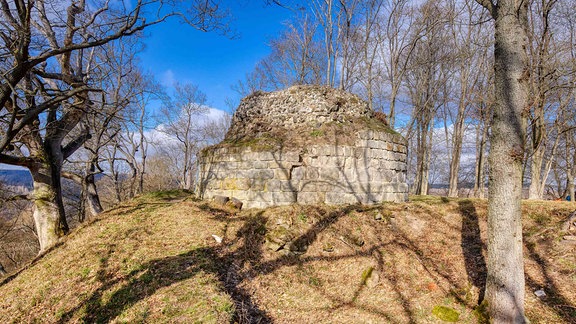 Auf einem Berg liegen die Reste der Burgruine Anhalt; sie ist von Bäumen umgeben