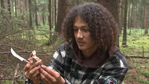 Pilzexperte Tristan Jurisch im Wald