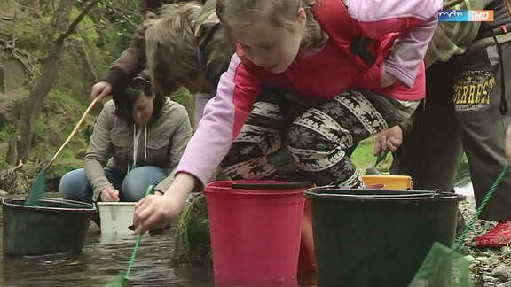 Mädchen setzen kleine Lachse in einen Fluss.