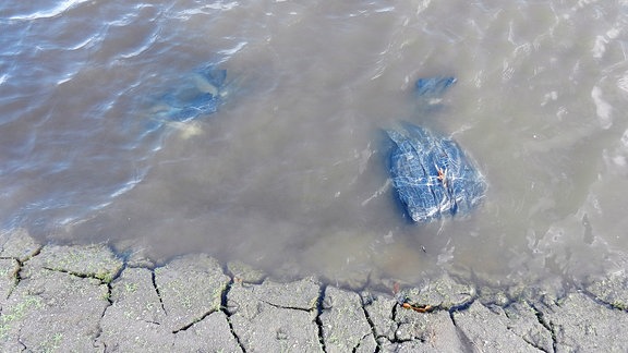 Ein Bündel Kleidung liegt am Ufer eines Sees.