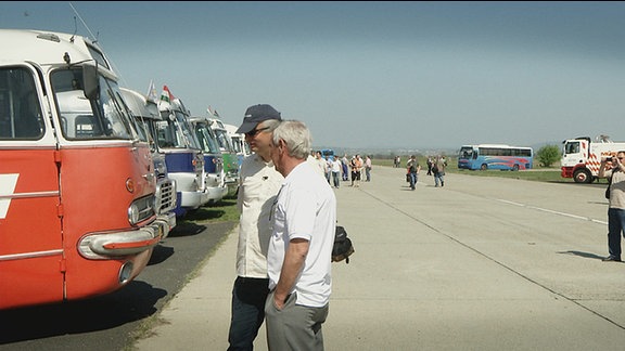 Besucher stehen vor einer Reihe alter Busse