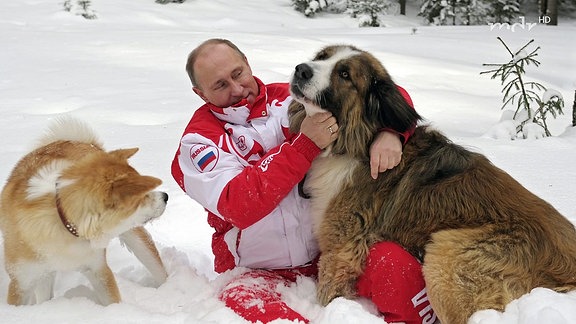 Putin mit zwei Hunden im Schnee