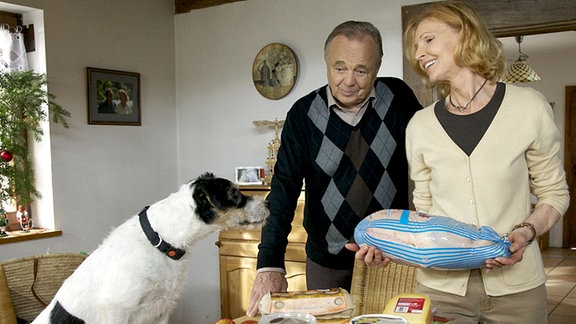 Auch im Hause Simoni steht Weihnachten vor der Tür. Die Einkäufe sind erledigt. Nun wollen Ingrid (Jutta Kammann) und Prof. Simoni (Dieter Bellmann) einen Weihnachtsbaum besorgen. Simoni ist unschlüssig, ob sich Hugo zwischen den vielen Menschen auf dem Weihnachtsmarkt wohl fühlen wird, doch Ingrid hat keine Zweifel.