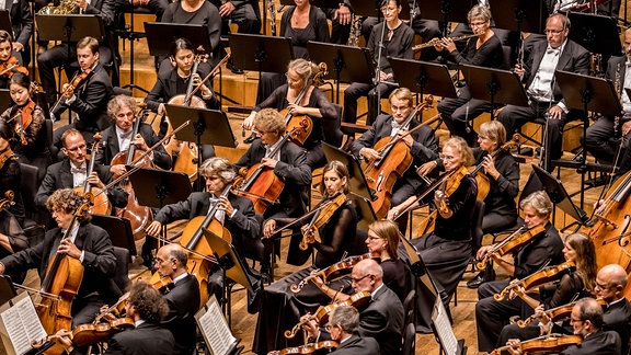 Das MDR-Sinfonieorchester im Konzert.