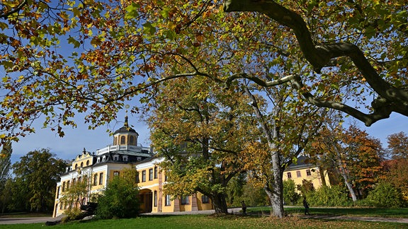 Schloss Belvedere, ein Gebäude mit gelber Fassade, mit seinem weitläufigen Park