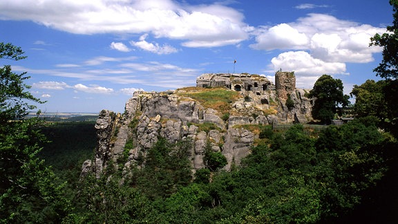 Burgruine Regenstein im Harz: eine Ruine auf einem Felsplateau, umgeben von Wald, im Hintergrund blauer Himmel