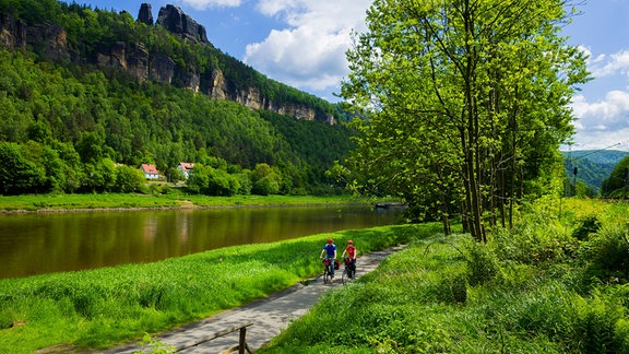 Radfahrer auf dem Elberadweg in Bad Schandau, in der Sächsischen Schweiz. 