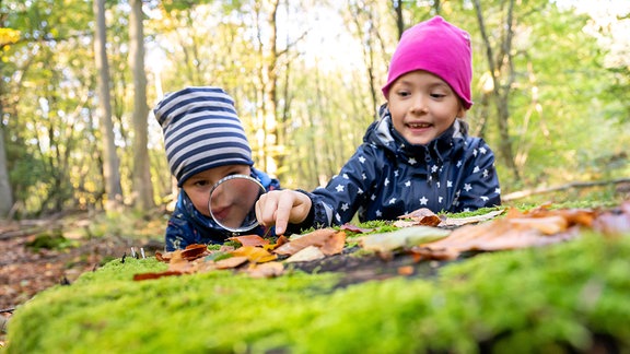 Zwei Kinder betrachten in einem Wald einen Käfer mit einer Lupe.