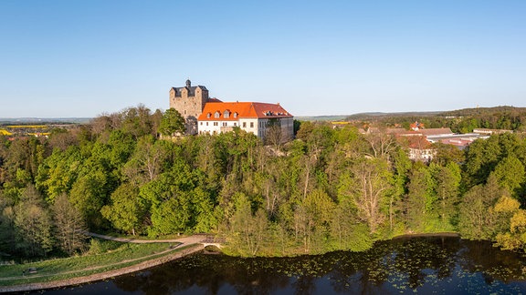 Das Residenzschloss Ballenstedt thront über dem Schlossteich; es ist von sehr viel Grün umgeben und liegt erhöht auf einem kleinen Hügel; die Sonne scheint und der Himmel ist blau