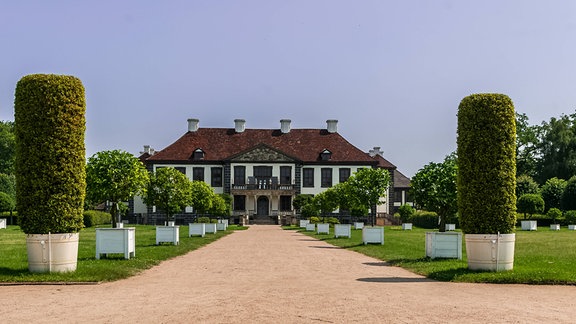 Ein Weg führt auf Schloss Oranienbaum zu, rechts und links sind Rasenflächen und es stehen verschiedene Pflanzen in Kübeln an deren Rand Rand