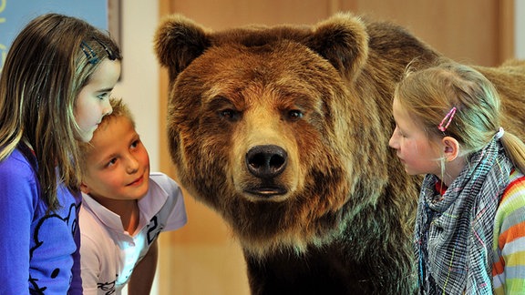 Kinder schauen der Grizzly-Bärin Kitty im städtischen Museum für Naturkunde in Chemnitz in die Augen