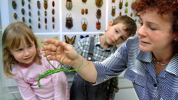 Eine Frau mit einer großen grünen Heuschrecke auf der Hand und zwei Kinder, die neugierig darauf schauen, im Hintergrund Vitrinen mit ausgestellten Käfern