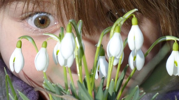 Kind begutachtet Schneeglöckchen (Galanthus nivalis) 