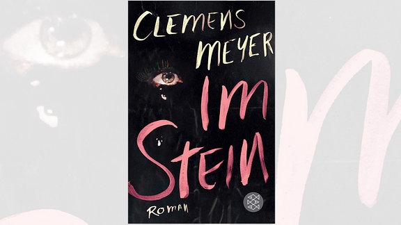 Schwarzes Buchcover mit einem Auge und der Aufschrift: Clemens Meyer: Im Stein