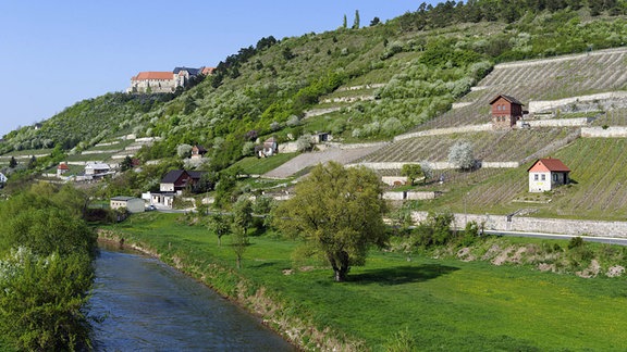 Freyburg an der Unstrut, mit der Neuenburg