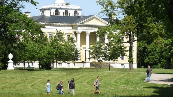 Das Schloss im Wörlitzer Park: Weißes Gebäude im Stil des Klassizismus auf einer Rasenfläche.