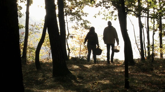 Pilzesammler im Wald.