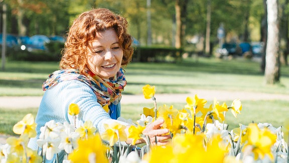 Eine Frau pflückt Blumen von einem Beet mit Narzissen.  