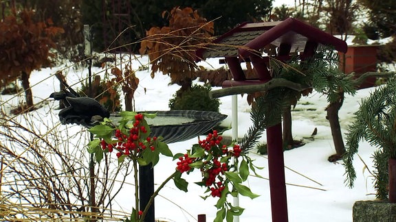 Garten im Winter