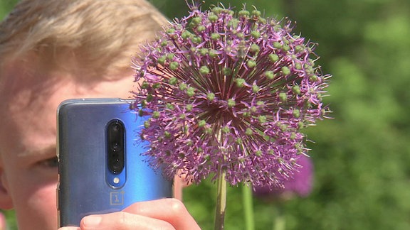 Junger Mann fotografiert Pflanze mit Smartphone