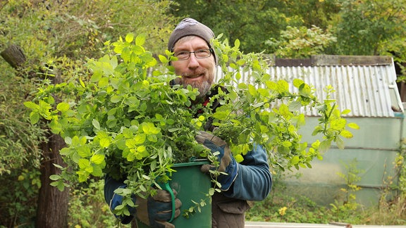 Gemüse ernten oder im Beet lassen.