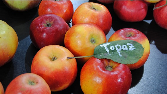 Rot-gelbe, reife Äpfel mit einem grünen Blatt, auf dem "Topaz" steht