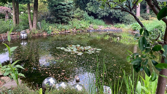 Blick in den Garten Ulbrich in Solingen, Gartenteich.