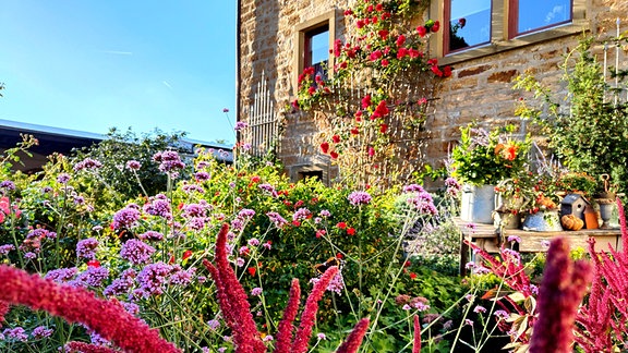 Ein blühender Garten, im Hintergrund ein Haus und blauer Himmel.