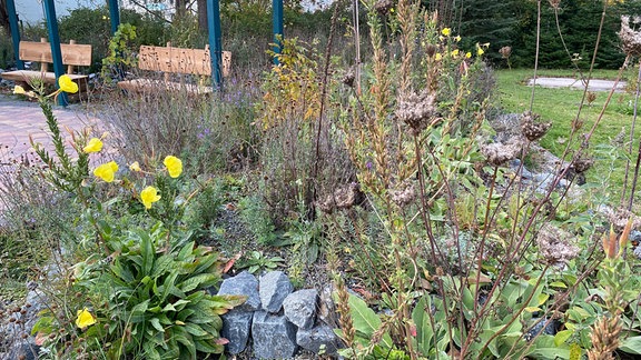 Schulhof mit gestalteter Gartenecke mit Pergola, Beeten und Bänken