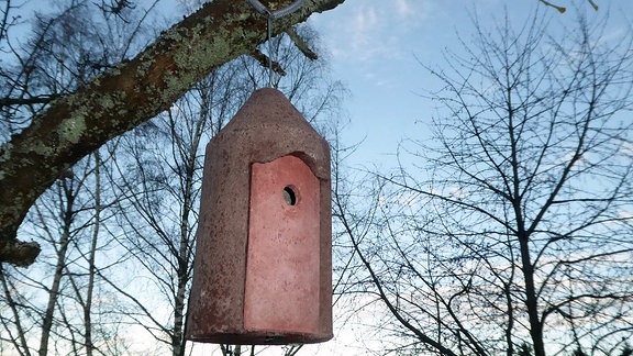 Ein Meisenkasten aus Holzbeton an einem Baum.