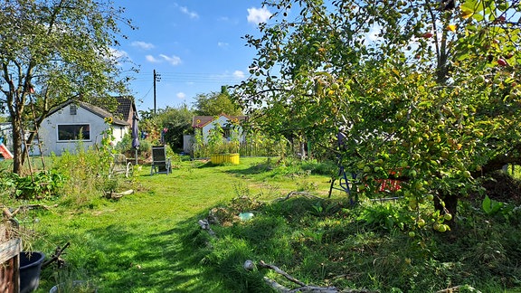 Ein Kleingarten nach dem Waldgarten-Prinzip.