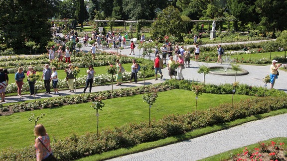 Rosengarten auf Insel Mainau.