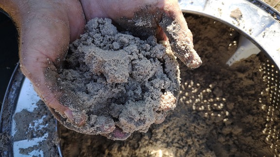 Eine alte Waschmaschinentrommel wird mit Sand gefüllt. Hände füllen den Sand in sie Trommel.    