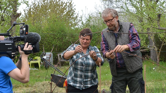 Ein Kameramann filmt Obstbaumexpertin Monika Möhler und Hobbygärtner Jörg Heiss beim Anbinden von Wein am Spalier