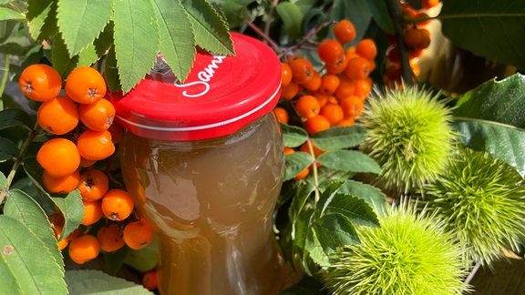 Früchte von Eberesche und Esskastanie sowie ein Glas Marmelade stehen auf einem Tisch.