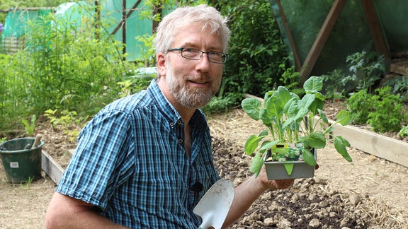 der Redakteur Jörg Heiß hält eine Schale mit Rosenkohl-Jungpflanzen in der Hand