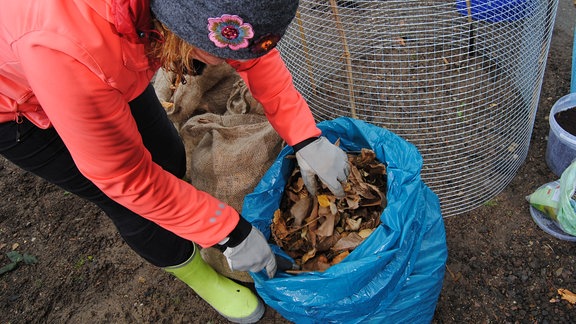 Eine Frau greift mit Gartenhandschuhen in einen blauen Plastiksack mit Herbstlaub darin