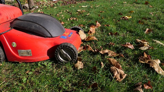 Vollherbst im Garten