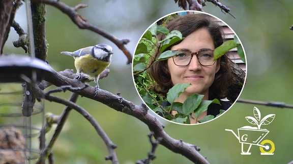 Komm mit in den Garten - Vögel im Garten richtig füttern