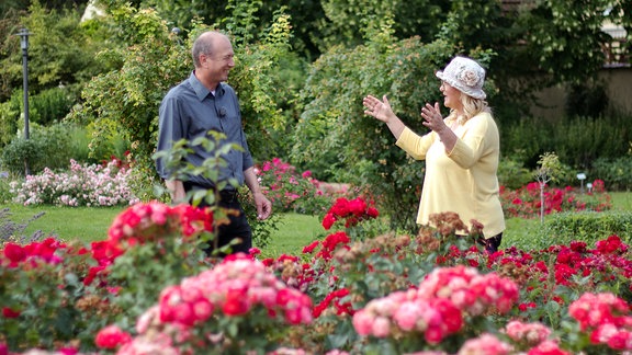 Eine Frau und ein Mann führen ein Gespräch im Rosengarten