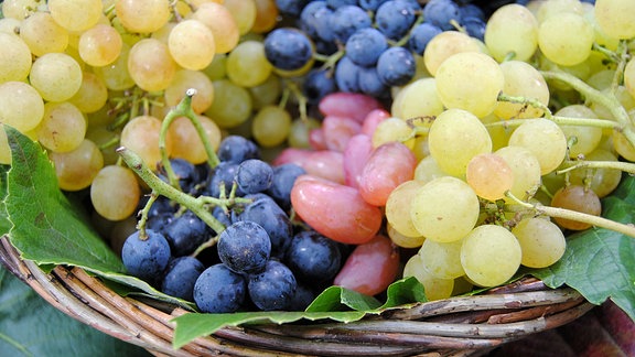 Verschiedenfarbige Tafeltrauben liegen in einem Korb mit zwei Weinblättern