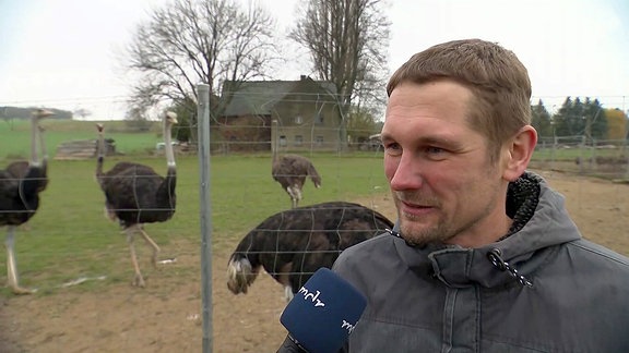 Bauer im Interview, im Hintergrund Strauße