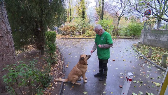 Tierheilpraktiker Christian Ergenzinger mit einem Hund