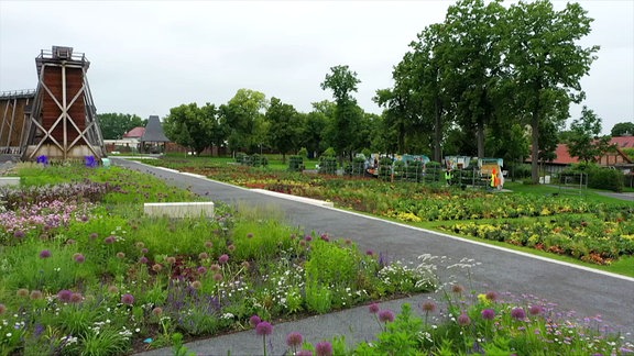 Gelände Landesgartenschau