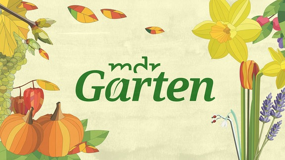 MDR Garten Logo