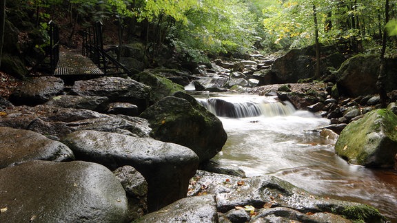 Blick in das Ilsetal mit den Ilsefällen. Moosbewachsene Felsen, kleine Wasserfälle.